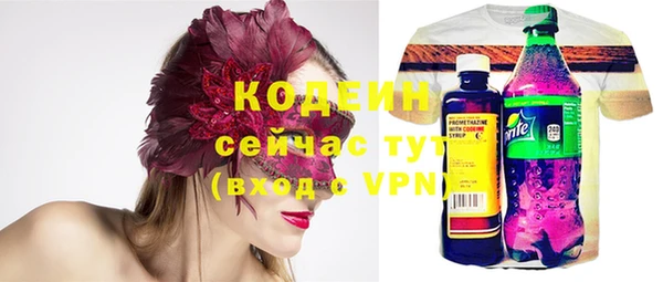 ECSTASY Богородицк