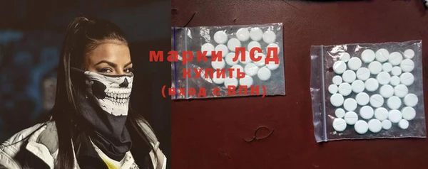 ECSTASY Богородицк