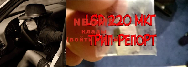 дурь Богданович