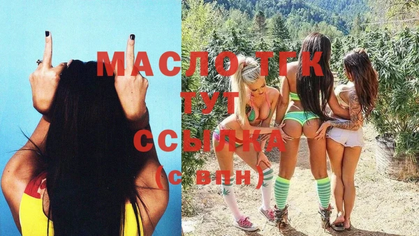 ECSTASY Богородицк
