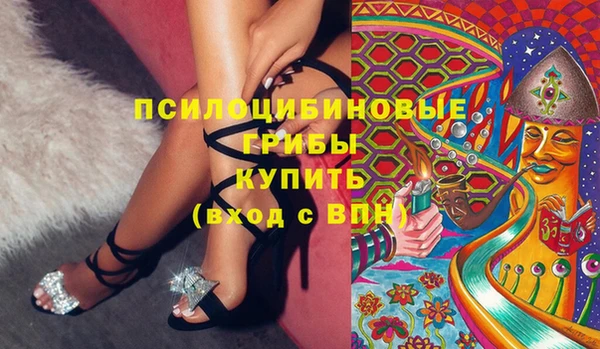 дурь Богданович