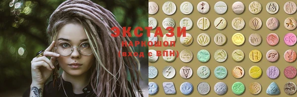 ECSTASY Богородицк