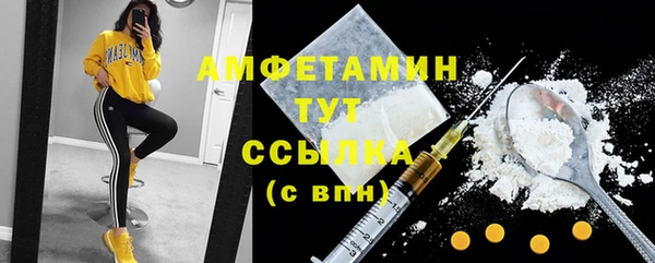 ECSTASY Богородицк
