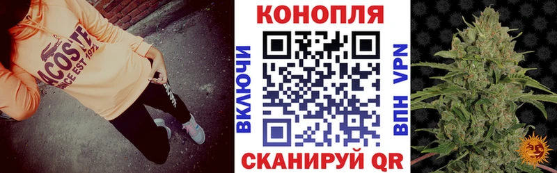ссылка на мегу tor  Минусинск  Канабис White Widow 